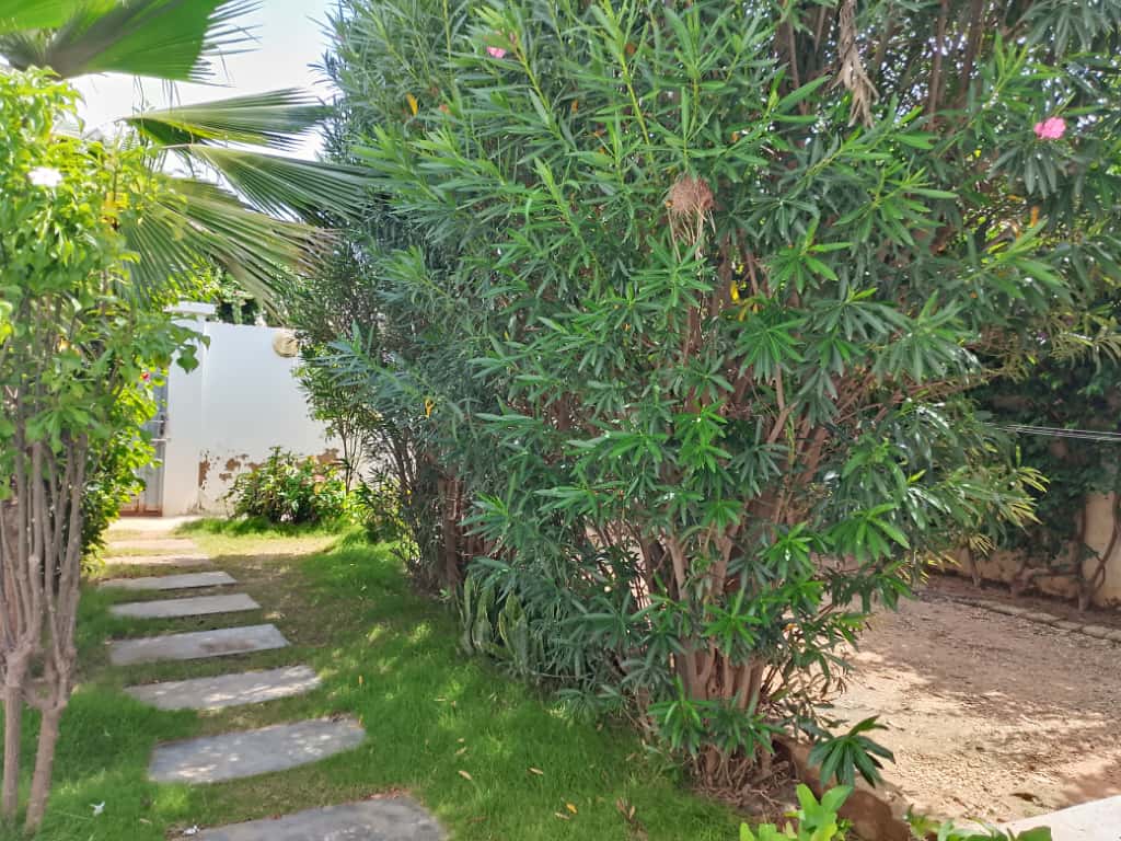 WhatsApp Image 2025-09-30 at 15.13.02 (1)