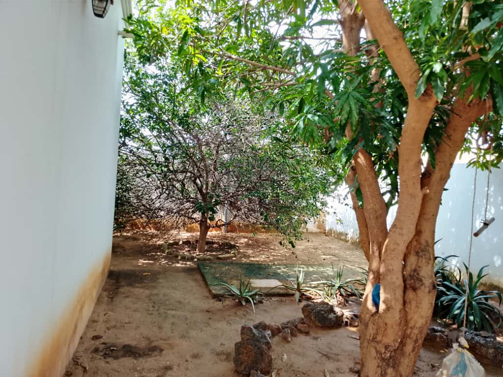 WhatsApp Image 2025-09-30 at 15.13.04 (2)