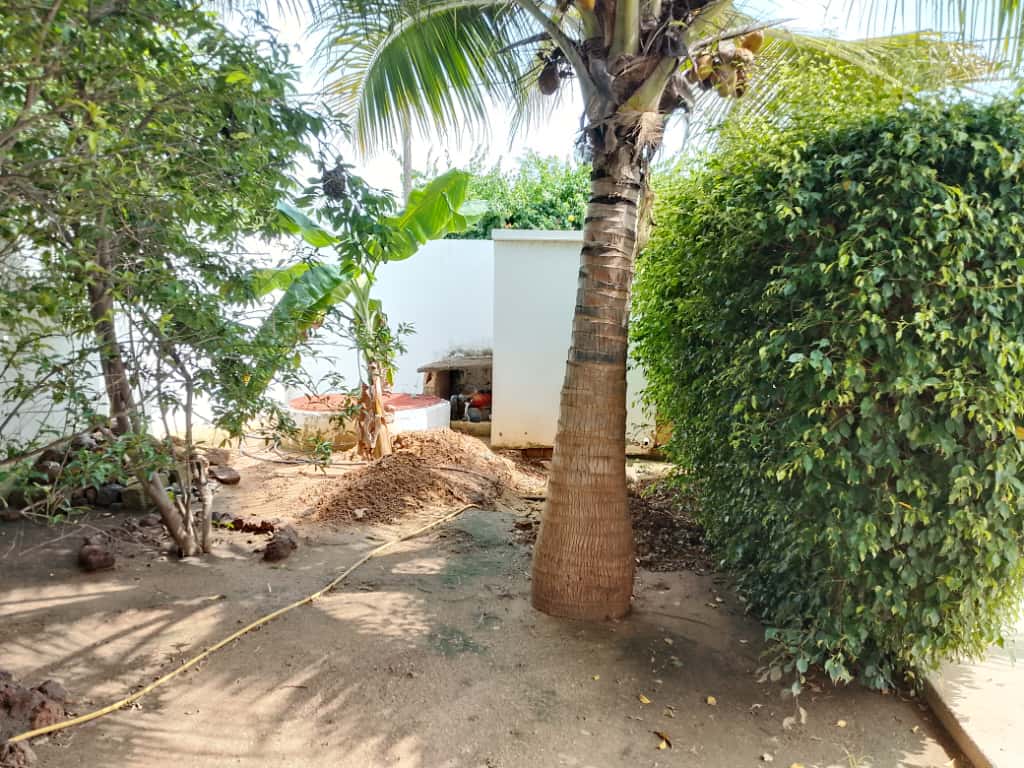 WhatsApp Image 2025-09-30 at 15.13.04 (3)